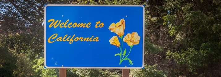 Termini Chiropractic Relief & Wellness in California