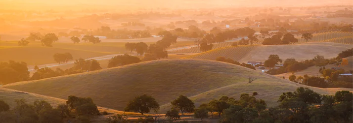 Termini Chiropractic Relief & Wellness in Granada Hills CA