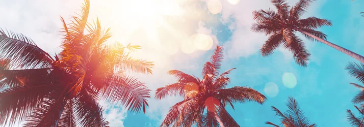 Termini Chiropractic Relief & Wellness in Porter Ranch CA