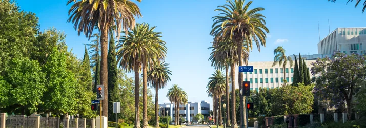 Termini Chiropractic Relief & Wellness in Sherwood Forest CA